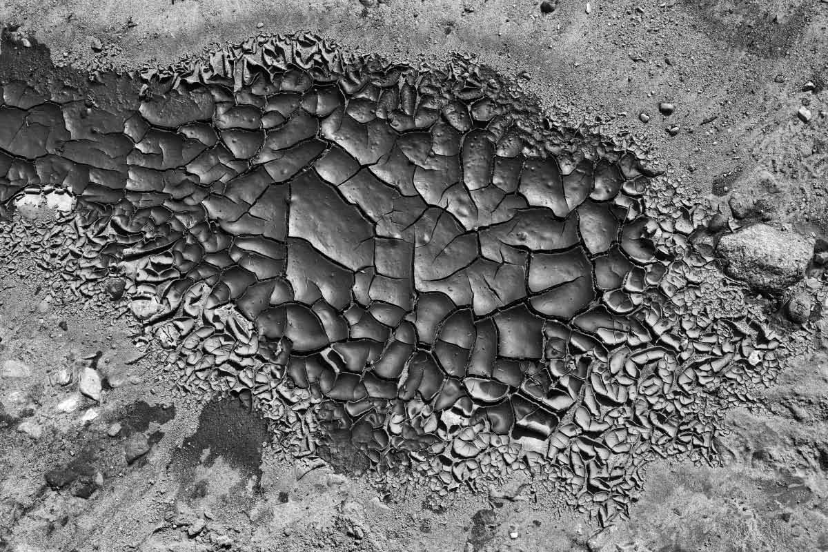 Eingetrocknet 1 BW.jpg