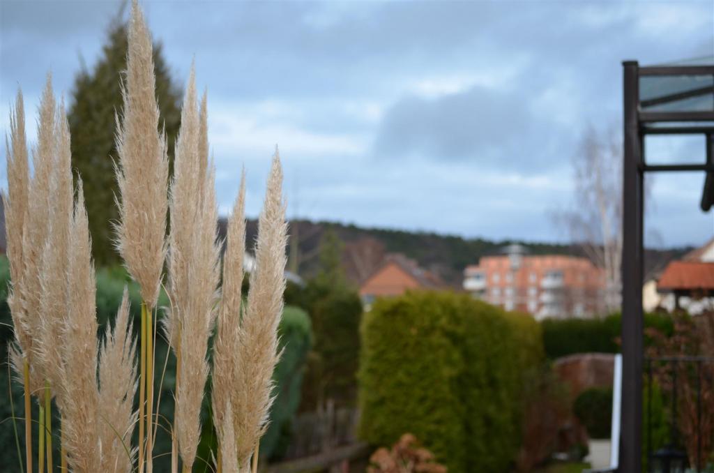 Einzelmessfeld