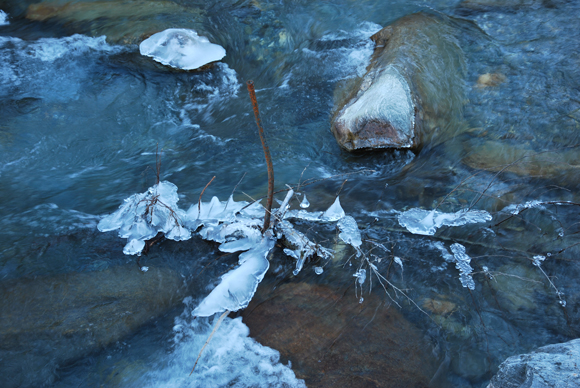 Eis im Wasser 01