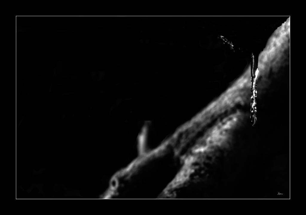 EisDSC 0035