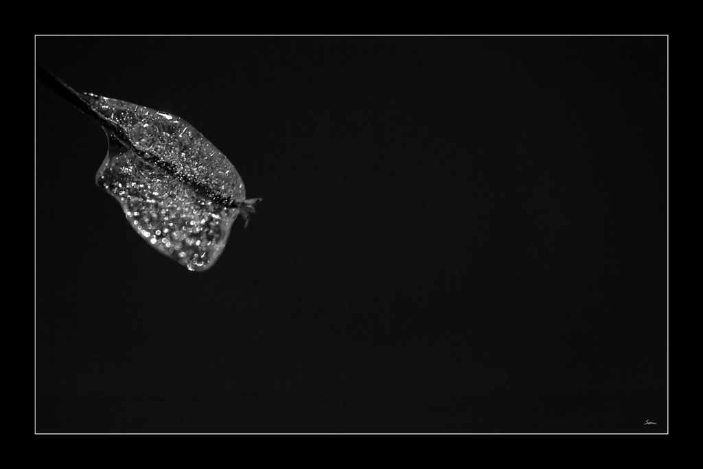 EisDSC 0153