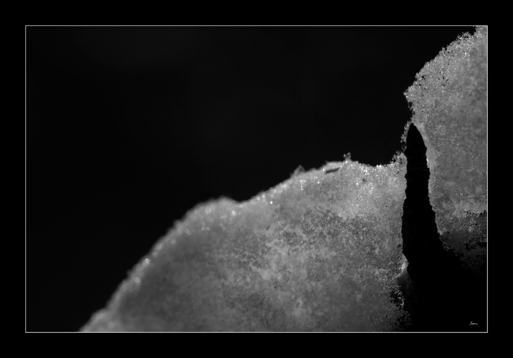EisDSC 0157