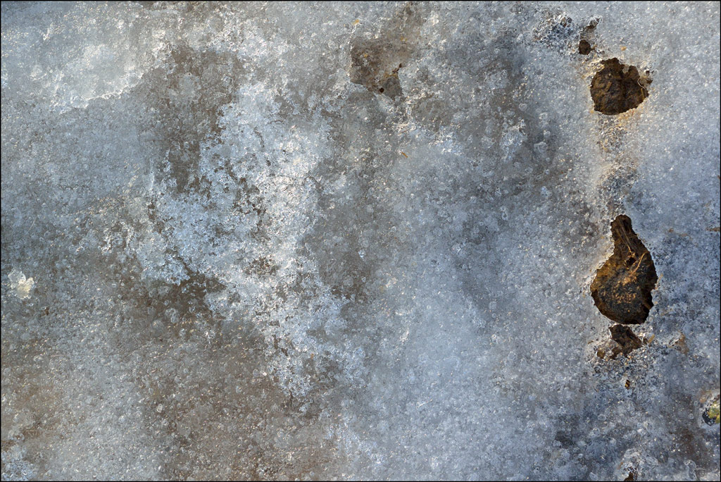 EisDSC 0523