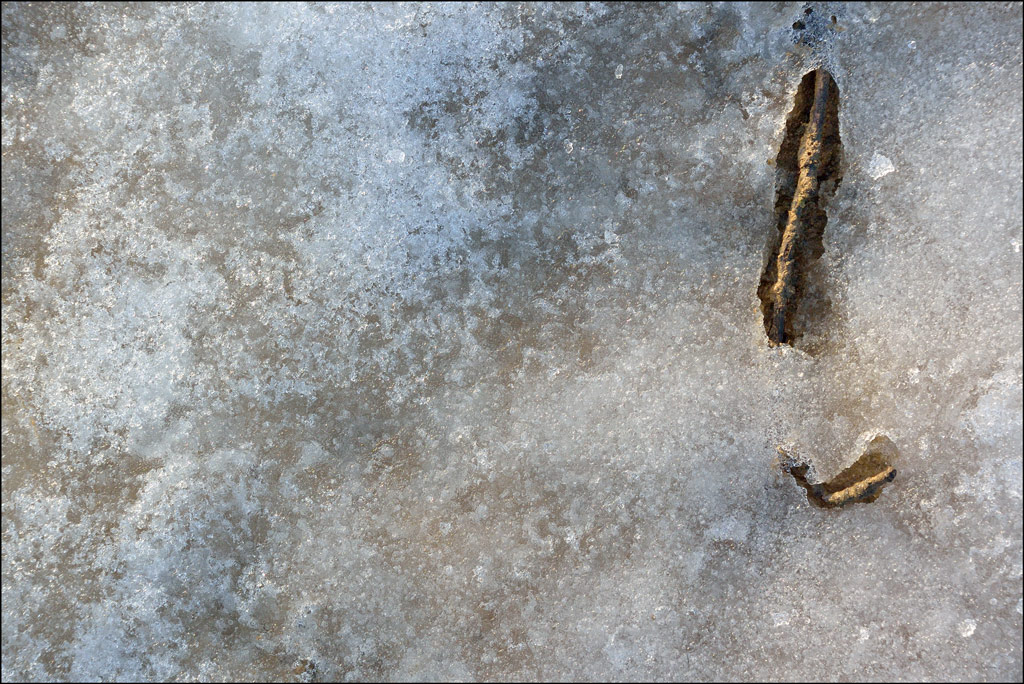 EisDSC 0524