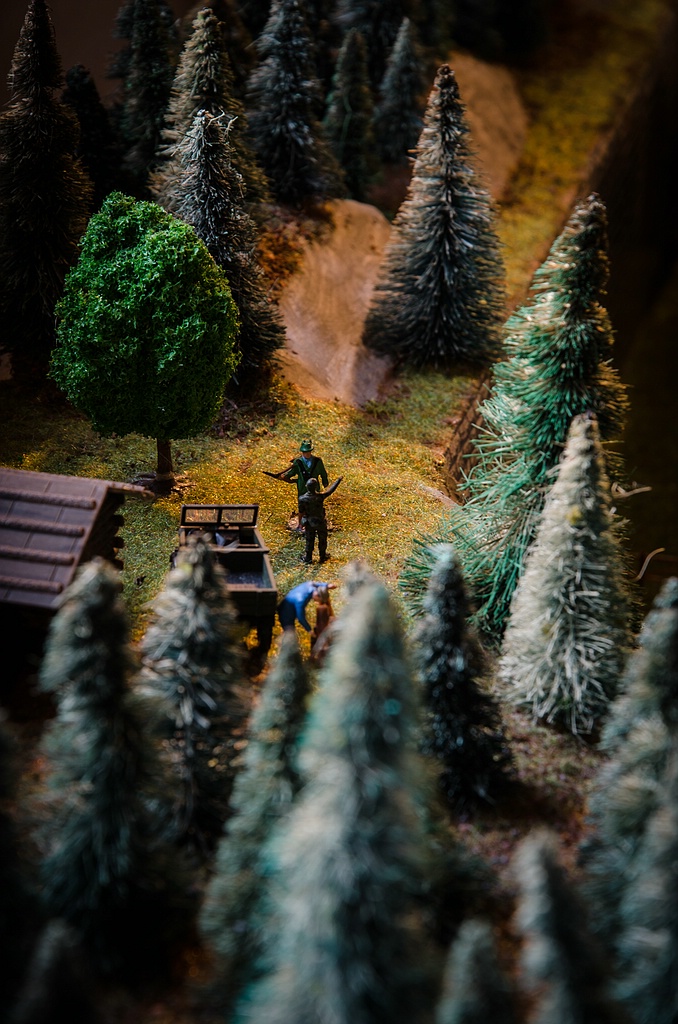 Eisenbahn DSC 6121