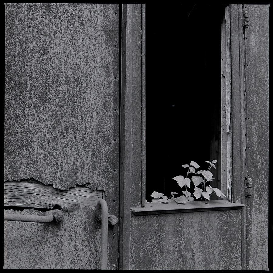 Eisenbahnmuseum Bochum-Dahlhausen
Hasselblad 500cm, Planar C 80/2,8
Neopan 400 / Emofin