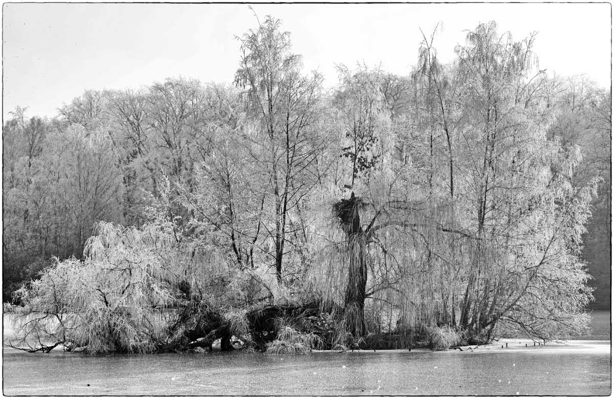 Eisinsel_BW.jpg