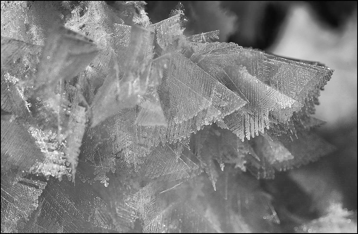 Eiskristalle 3 (1 von 1).JPG