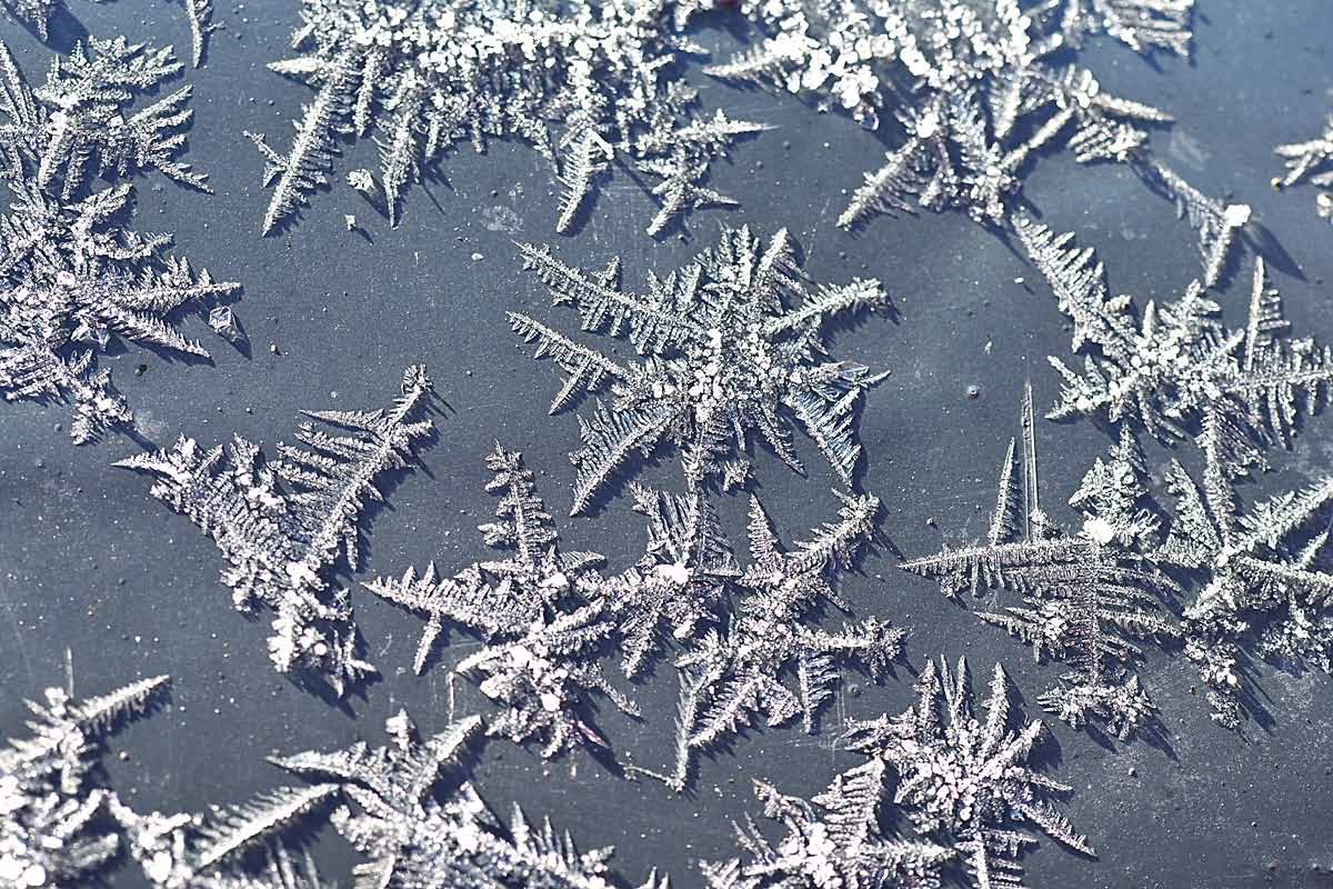 Eiskristalle 3.jpg
