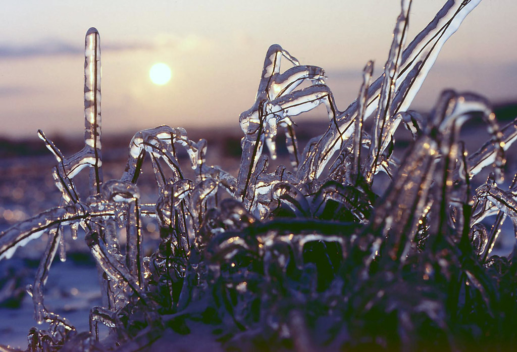 Eisregen Februar 1987