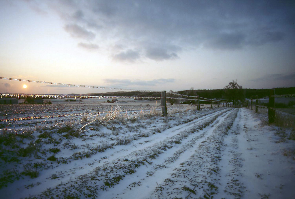 Eisregen Februar 1987