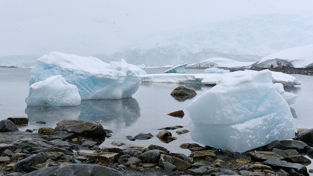 Eiswürfel, Charlotte Bay
3306