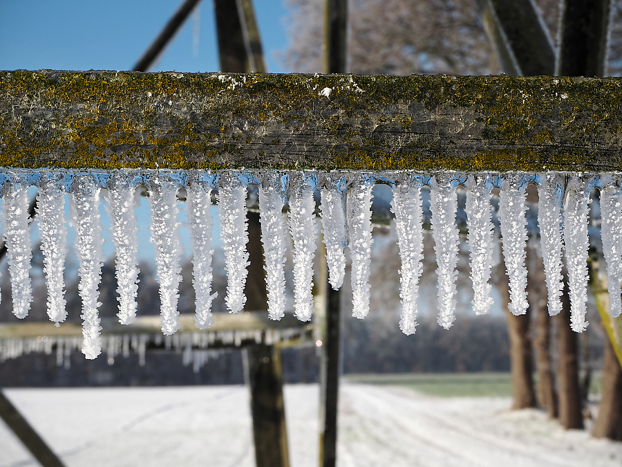 Eiszapfen.jpg