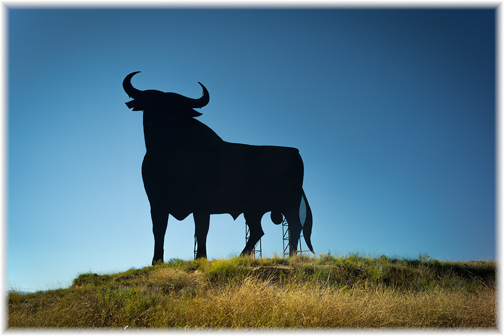el toro