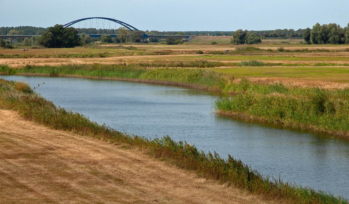 Elbbrücke.jpg
