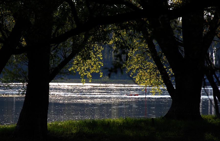 Elbe 1