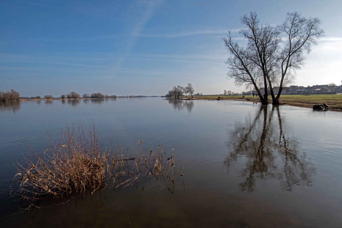 Elbe 2.jpg