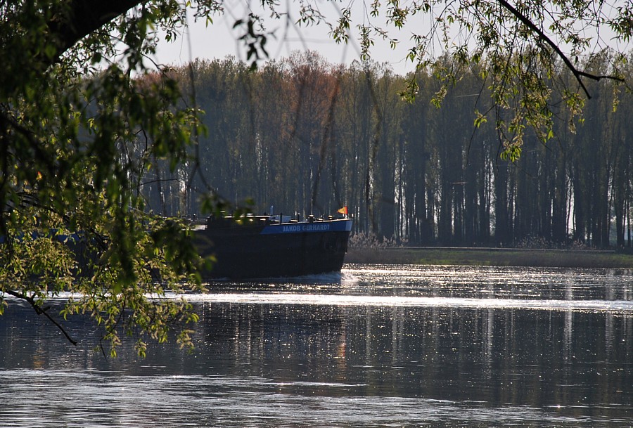 Elbe 2