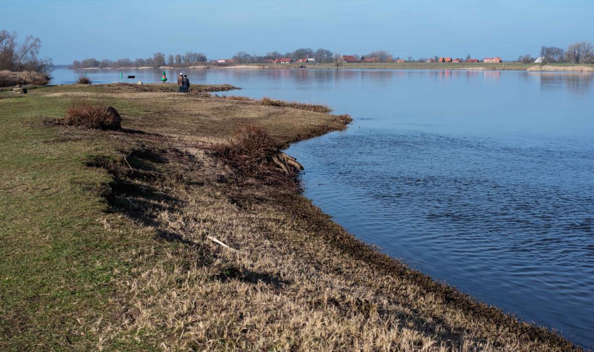 Elbe 3.jpg