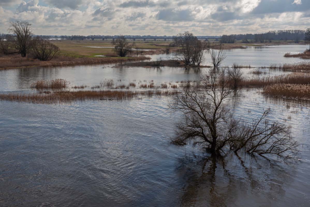 Elbe Dömitz 2.jpg