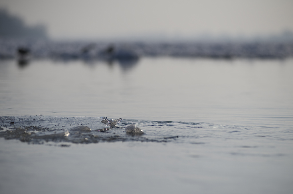 Elbe im Eis