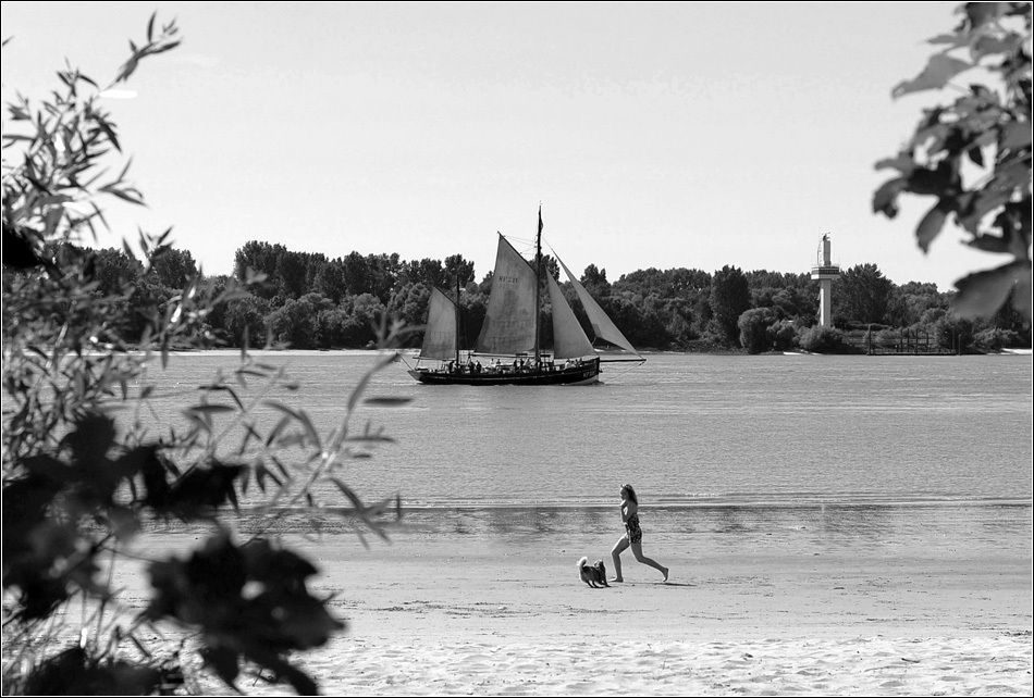 Elbsommer