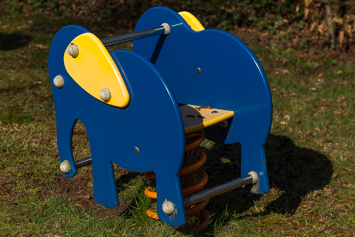 Elefant (1 von 1).jpg