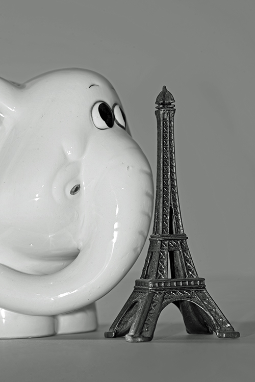 Elefant sw