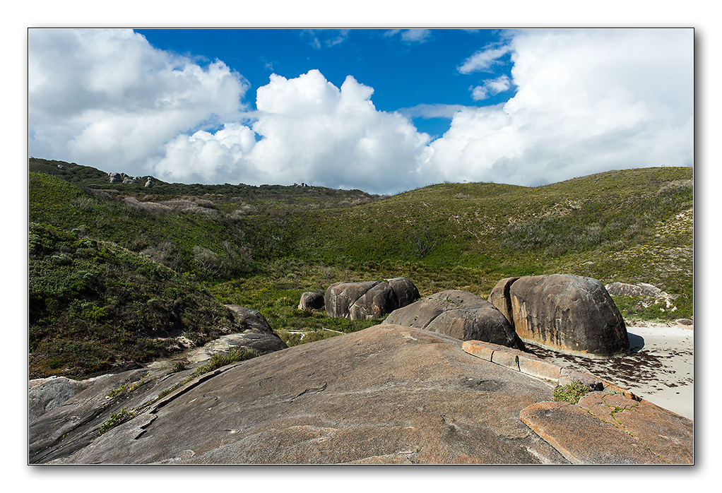 elephant beach3