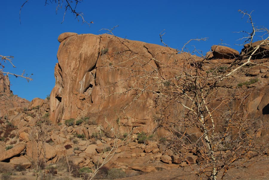 Elephants Head