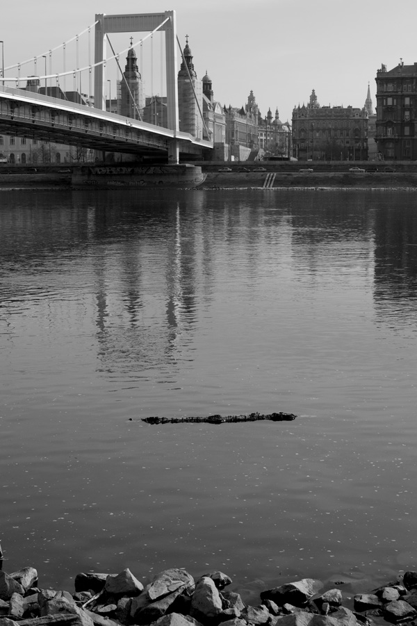 Elisabethbrücke 01