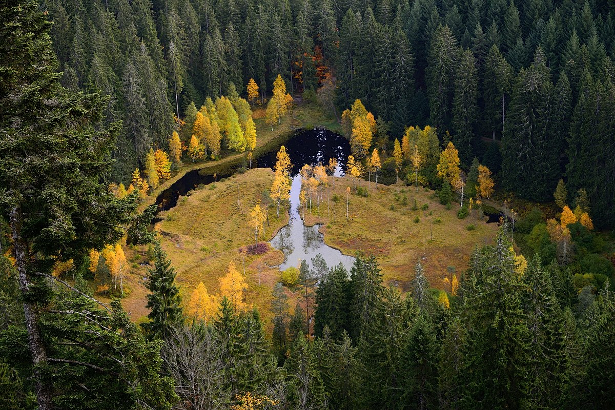 Ellbachsee Nordschwarzwald 2013 83588