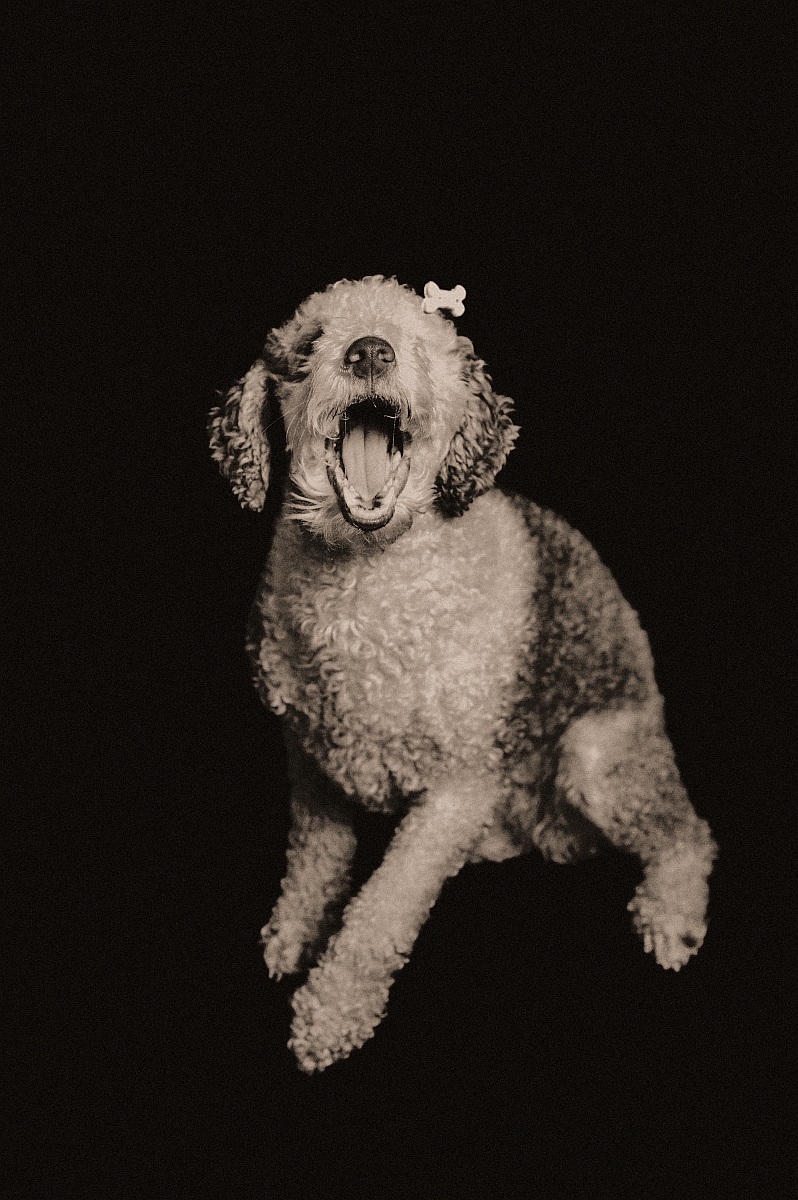 ELLIE2.jpg