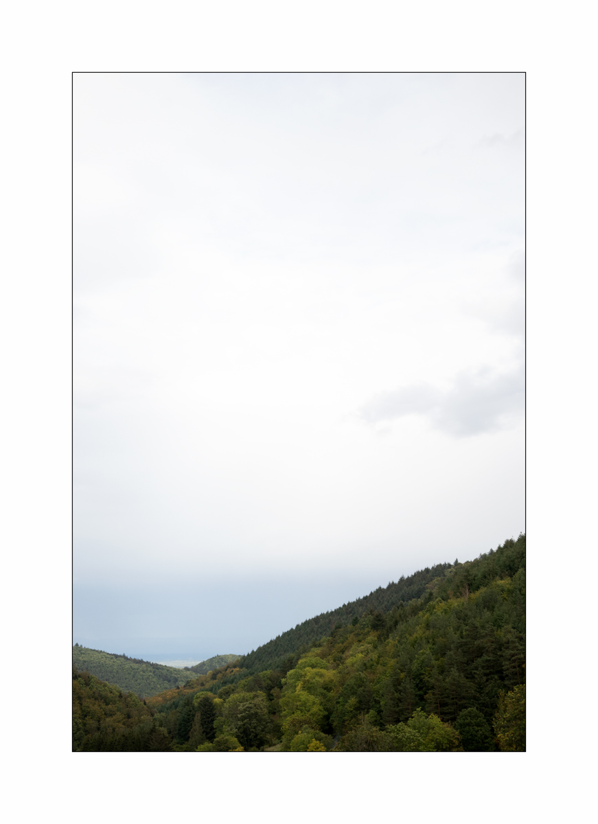 ElsassDSC_0926.jpg