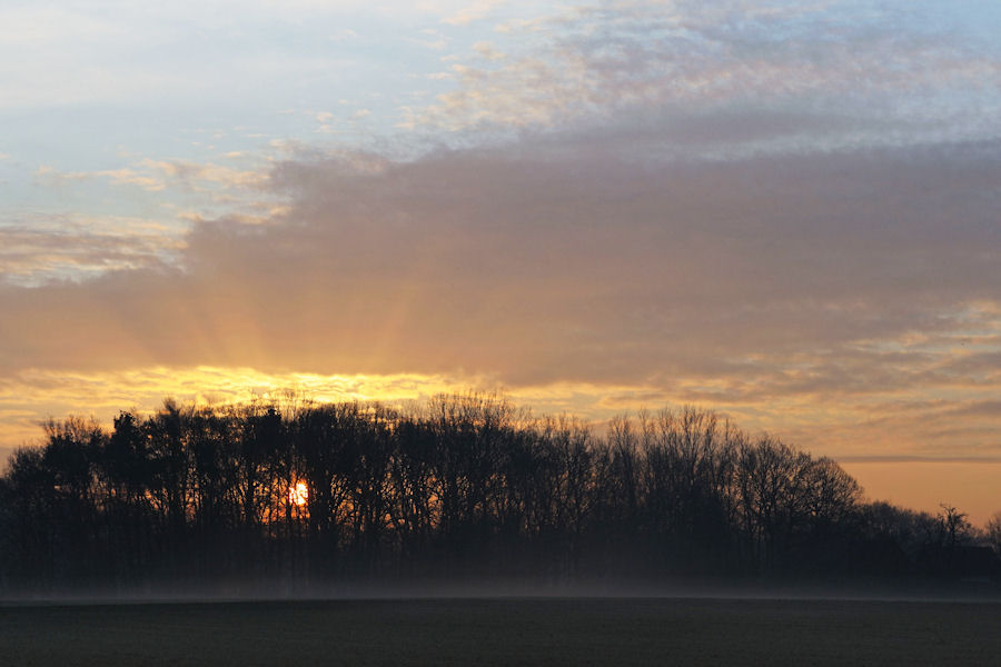 Emslandnebel 2