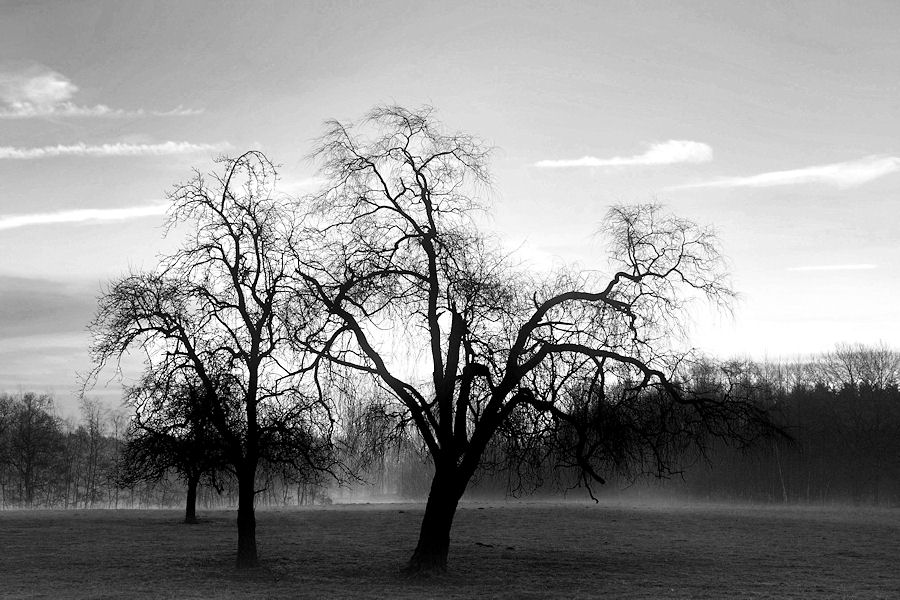 Emslandnebel 2