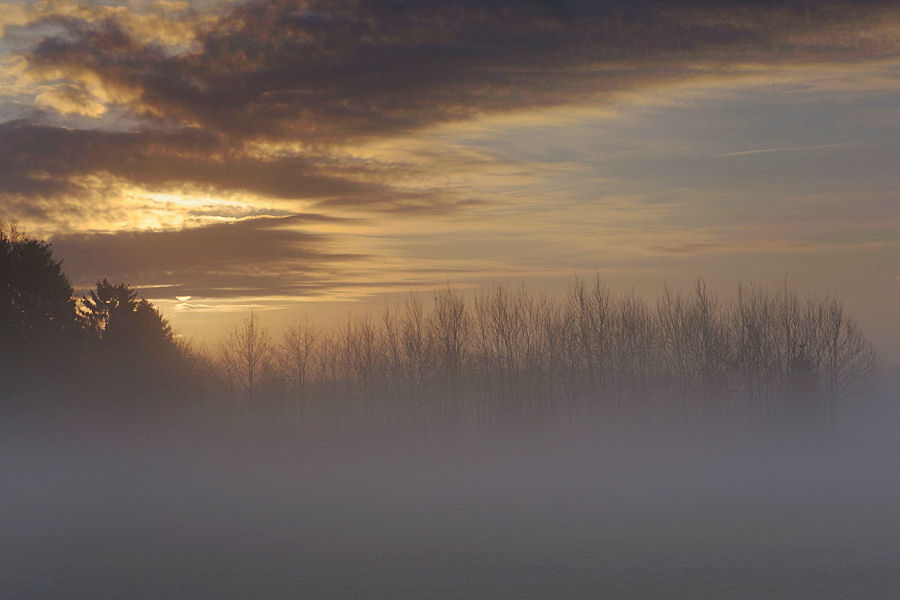 Emslandnebel 3