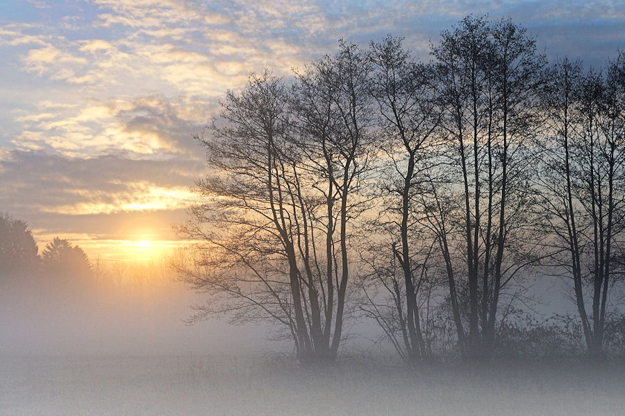 Emslandnebel 5