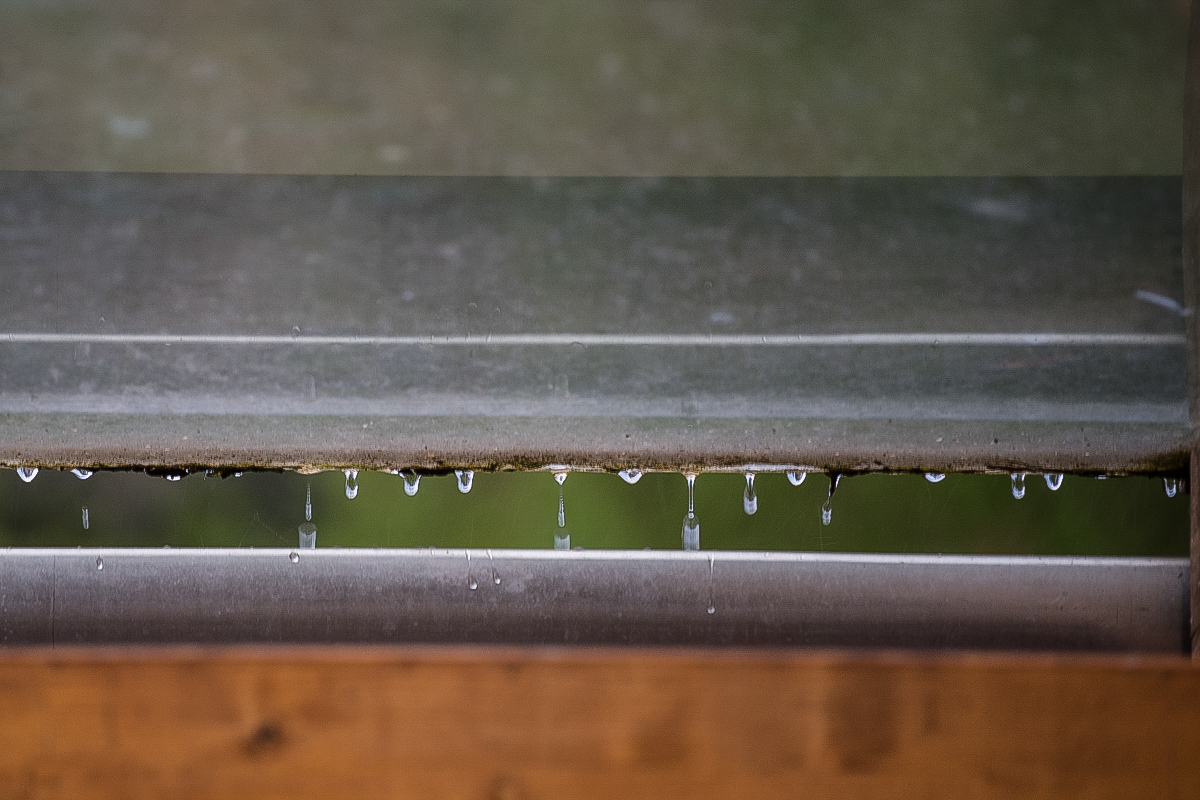 endlich Regen.jpg