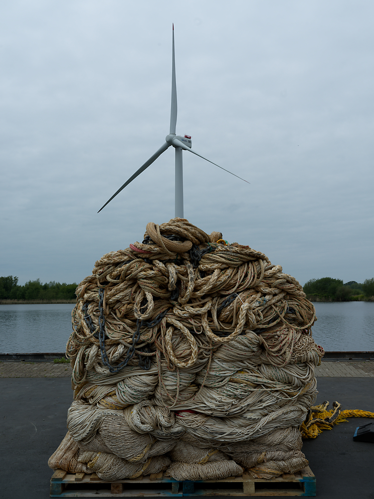 Energiebündel.jpg