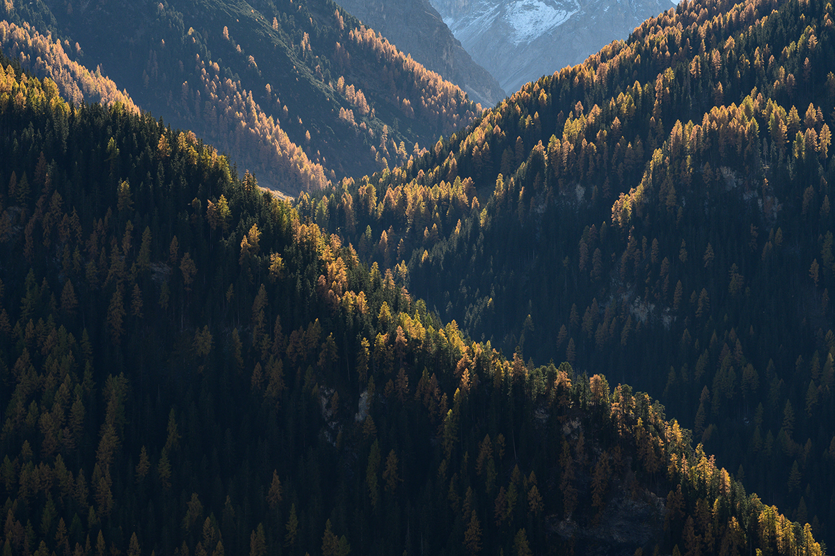 Engadin.jpg