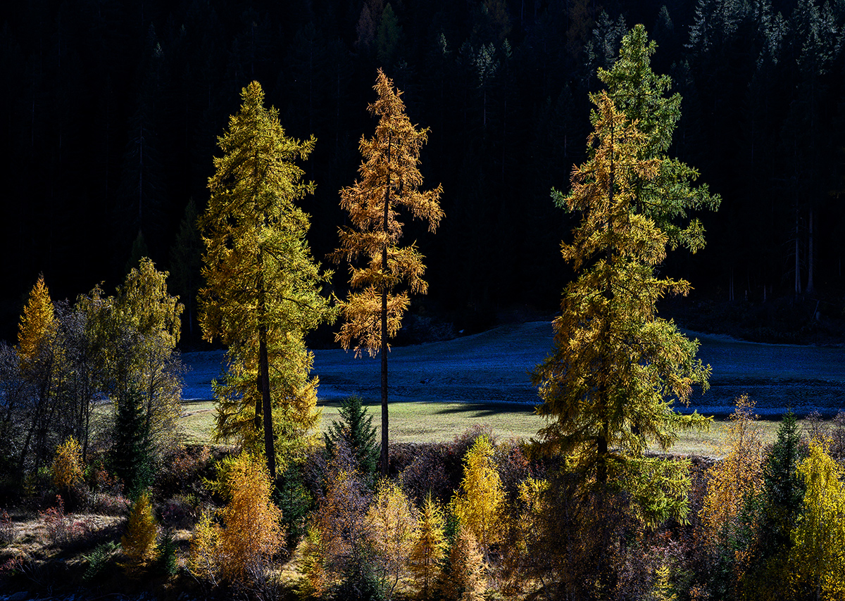 Engadin.jpg