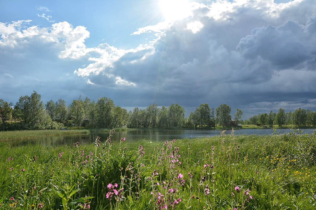 Enotekiö, Finnland