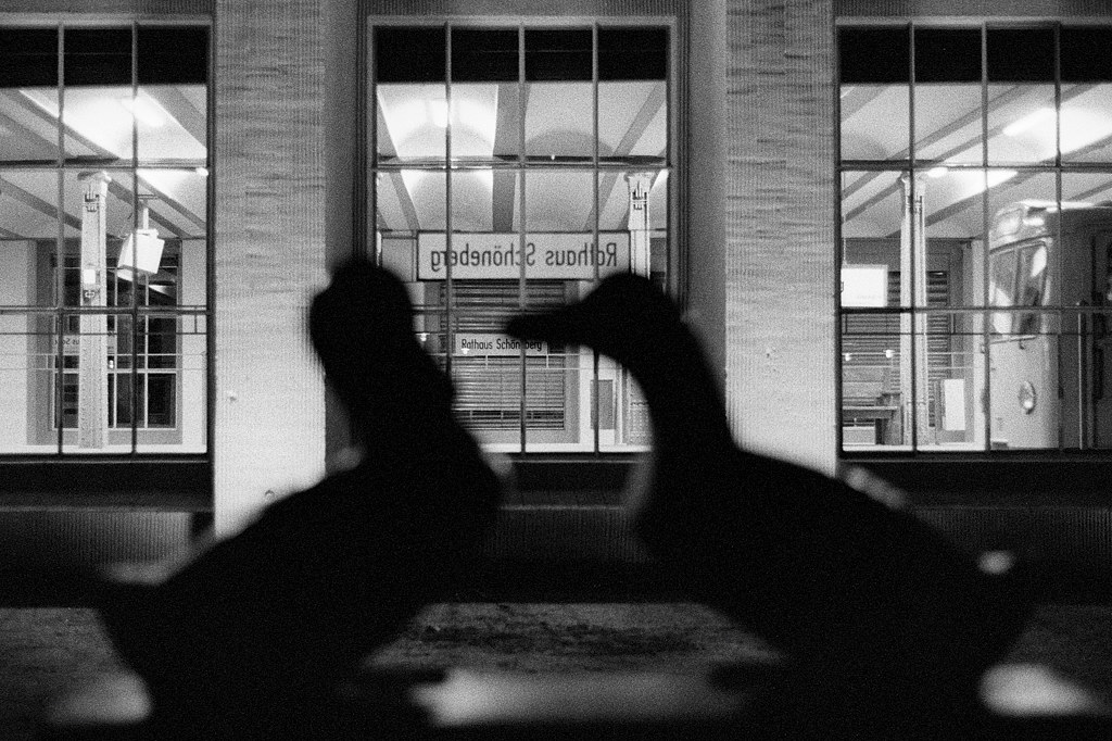 Enten in der Nacht