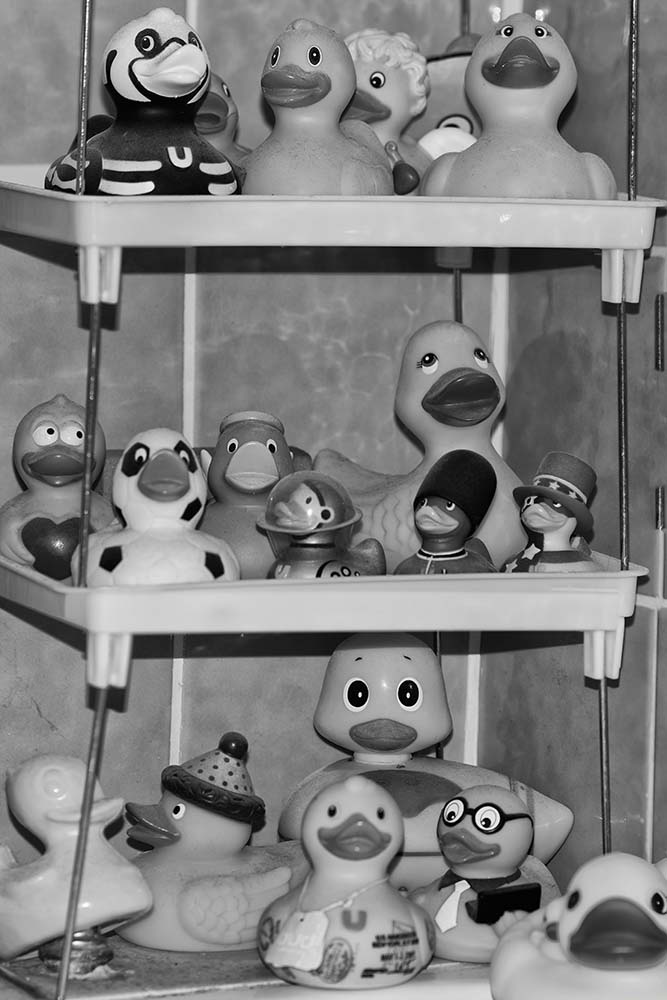 enten