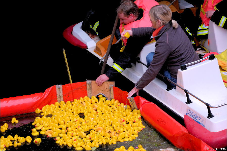 Entenrennen 2009 09 06 D2X 3797 1