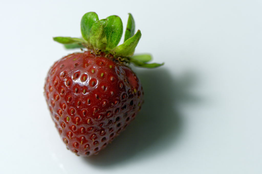 Erdbeere