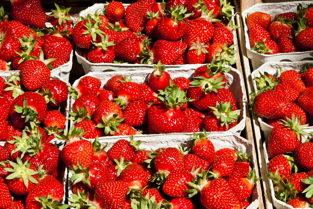 Erdbeeren