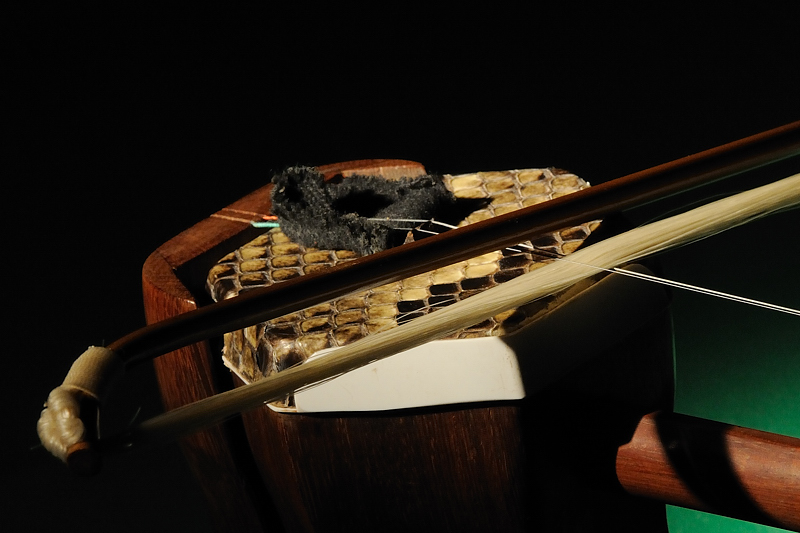 Erhu01