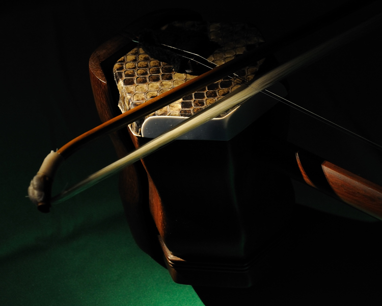 Erhu03